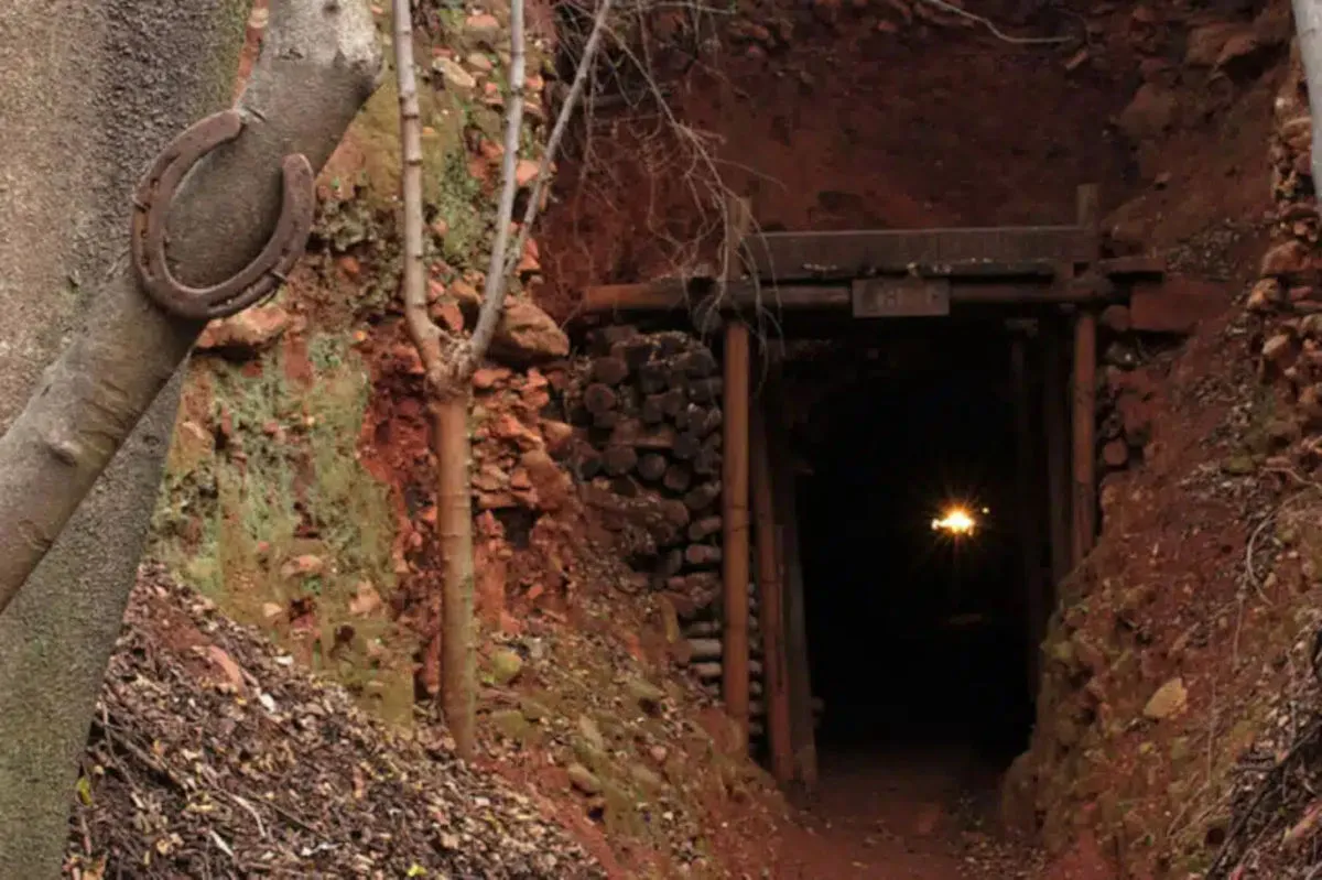Gold-mine.jpg.webp.webp